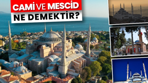 Cami ne demektir?